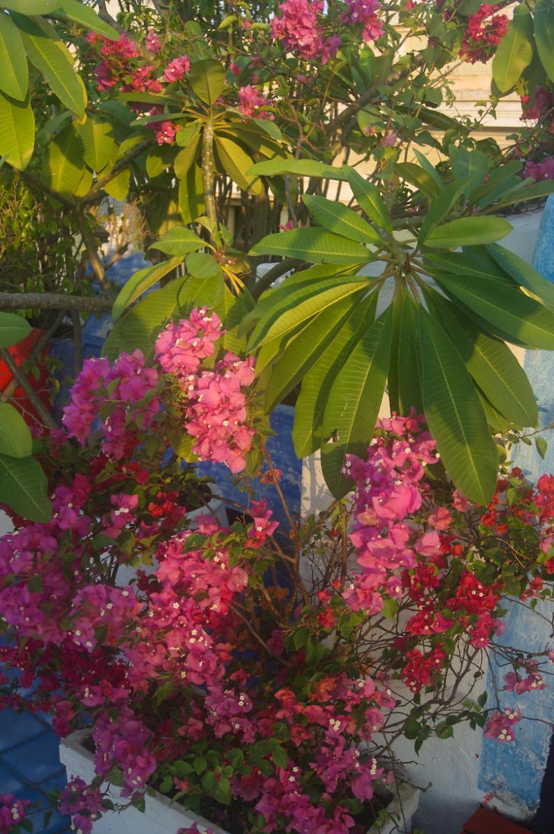 Masaya Collection La Passion Hotel Cartagena ภายนอก รูปภาพ